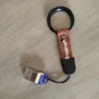 فلش پیدا شده