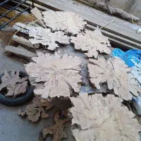 اسلب ریشه و تنه