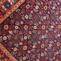 فرش دست بافت سالم