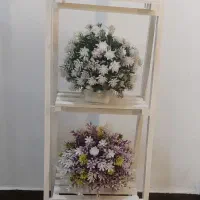 استند گل