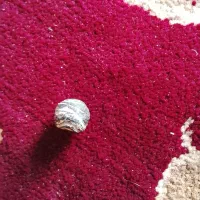 مهره|کلکسیون اشیاء عتیقه|ایذه, |دیوار