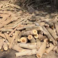 خرید باغ چوب