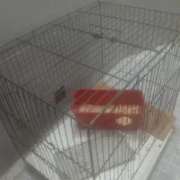 قفس پرنده و خاک اره پرنده