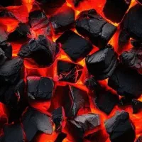 پخش زغال بصورت عمده و جزئی