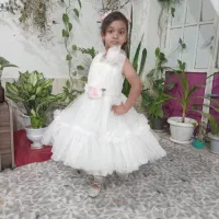 توربچگانه