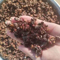 به و دانه به محلی تروتمیز