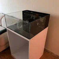 اکواریم اب شور