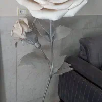گل کنار سالنی