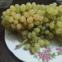 انگور