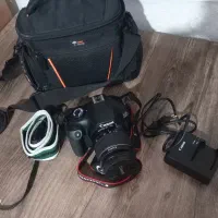 دوربین|دوربین عکاسی و فیلم‌برداری|شیراز, شهرک بهار|دیوار