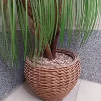 گل زیبا