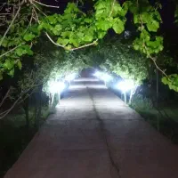 باغ ویلانزدیک به شیراز.دربست.|اجارهٔ کوتاه‌مدت ویلا و باغ|شیراز, قالیشویی|دیوار