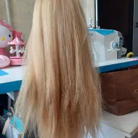 کله مانکن|آرایشگاه و سالنهای زیبایی|رشت, حمیدیان|دیوار