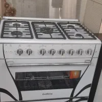 اجاق گاز فر دار گل بین