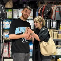 گربه بریتیش|گربه|تهران, آسمان|دیوار