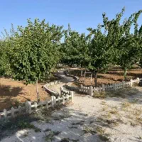 فروش باغ پر میوه