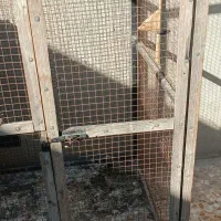 قفس.گنجه. قفس پرنده و کبوتر|لوازم جانبی حیوانات|کازرون, |دیوار