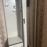 جاکفشی ایستاده