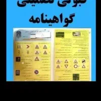 خدمات آییننامه وتعلیم اصولی با مربی حرفهای