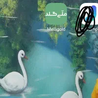 ۷۵هزارتومن هدیه