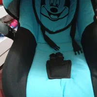 کریر|کالسکه و لوازم جانبی|قم, قلعه کامکار|دیوار