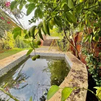 خونه قدیمی ۶۰۰متری فایل شکار شمال/فرصت طل*ای|فروش خانه و ویلا|تهران, منیریه|دیوار