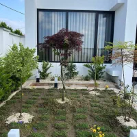 فلت نما مدرن،سنددار،دسترسی همزمان به شهر و جنگل|فروش خانه و ویلا|چمستان, |دیوار