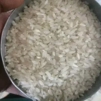 برنج کامفیروزی خوش پخت و طعم به شرط تناژ|خوردنی و آشامیدنی|کامفیروز, |دیوار