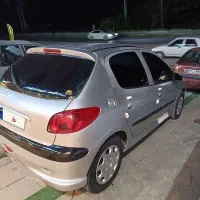 پژو۲۰۶دور چند لکه رنگ ماشین چمستانه