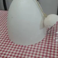 یکعدد چراغ آویز