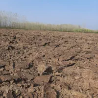 400هکتار|فروش زمین و ملک کلنگی|دیلمان, |دیوار