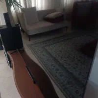 کارتن تلویزیون 65 اسنوا