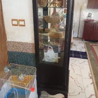 گنجه|بوفه، ویترین، کنسول|تربت جام, حافظ|دیوار