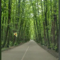 راهنمایی