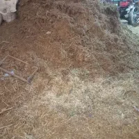 کود گوسفندی