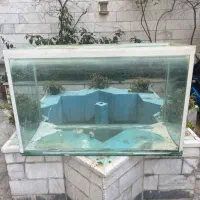 اکواریوم شیشه ۱۰ میل بزرگ مخصوص مانستر