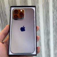 13pro