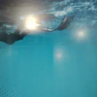 کارتن خالی تلوزیون ال جی 86 اینچ