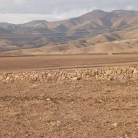 فروش زمین ۲۰۰ متری|فروش زمین و ملک کلنگی|هشتگرد, فشند|دیوار