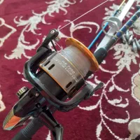 لنسر ماهی گیری در حد نو