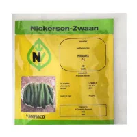 فروش بذر خیار گلخانه ای و...|حراج|جیرفت, |دیوار