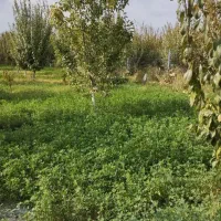 اجاره-ویلا-میخام-برای-یک-سال