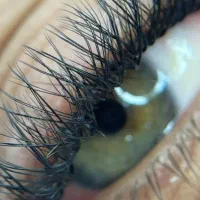 مژه هیدن موقت با مژه ابریشمی