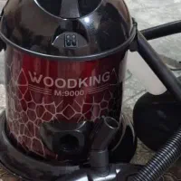 جارو برقی