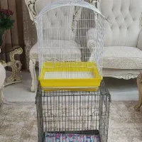 دوتا قفس کاسکویی فقط 1100