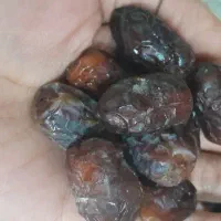 خرما خشک. بافت نرم‌ ،تازه و  خوشمزه