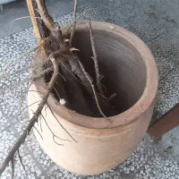 تنور گلی|اجاق گاز و لوازم برقی پخت‌وپز|اصفهان, کردآباد|دیوار