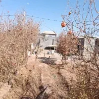 باغ چهاردیواری|فروش زمین و ملک کلنگی|برخوار, |دیوار