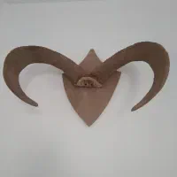 شاخ|کلکسیون اشیاء عتیقه|اسلام‌شهر, کاشانک|دیوار