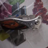 شکاری